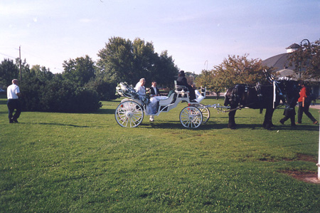 carriage1